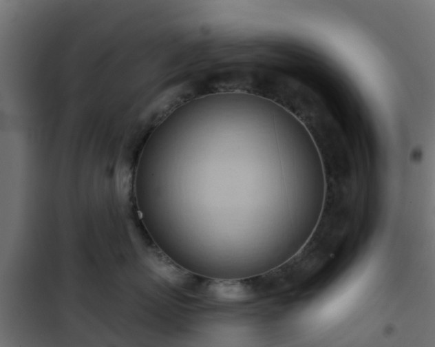 X0000101210767200807071339