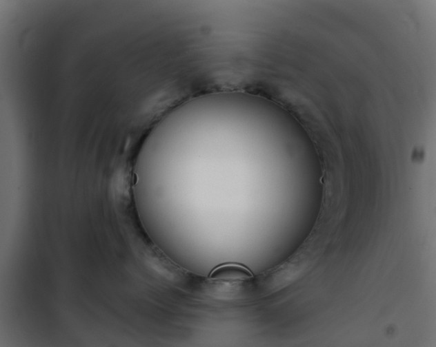 X0000101210768200807071339