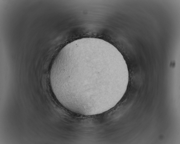 X0000101210769200807071338