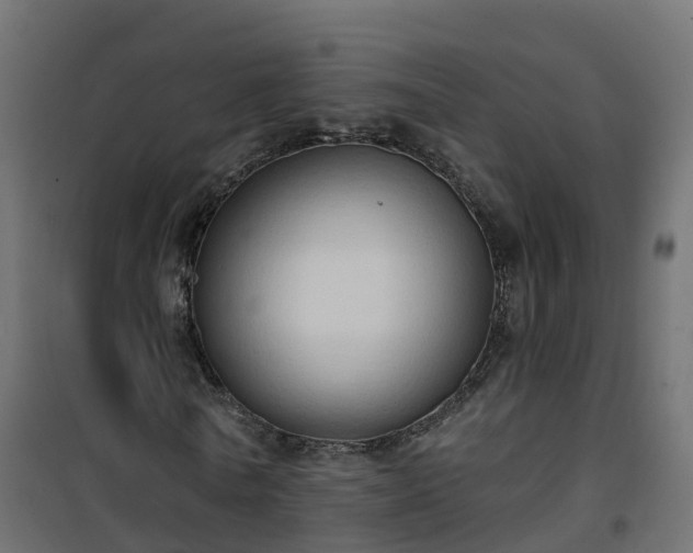 X0000101210770200807071338