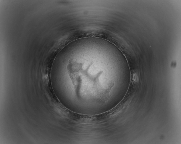 X0000101210771200807071338