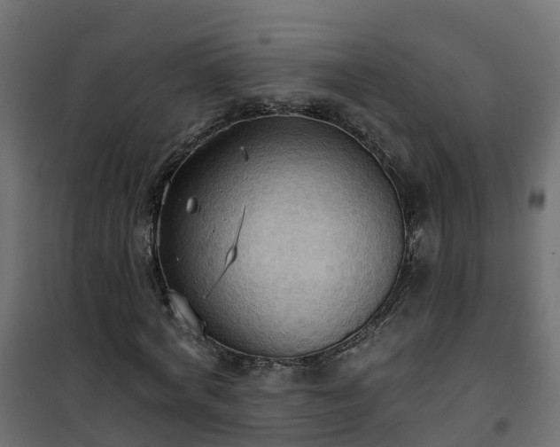 X0000101210772200807071338