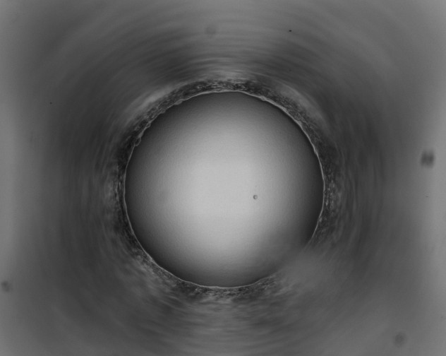 X0000101210773200807071338