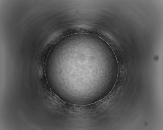 X0000101210774200807071338