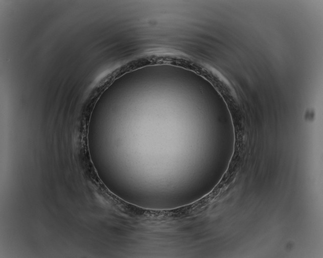 X0000101210775200807071338