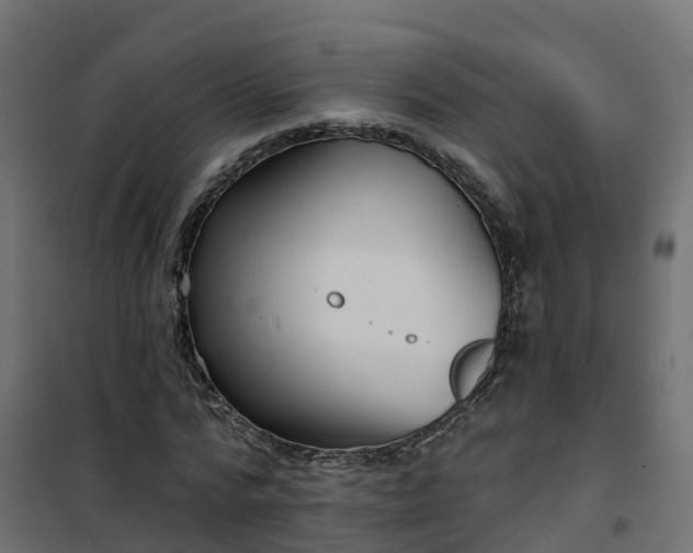 X0000101210776200807071338