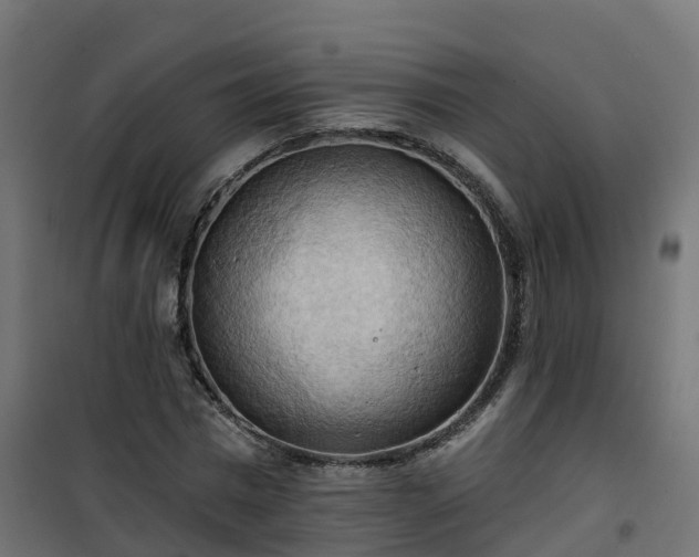 X0000101210777200807071337