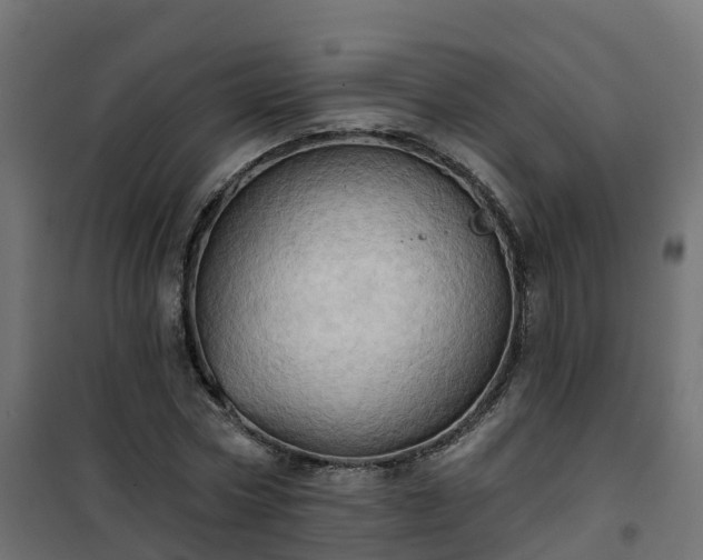 X0000101210778200807071337