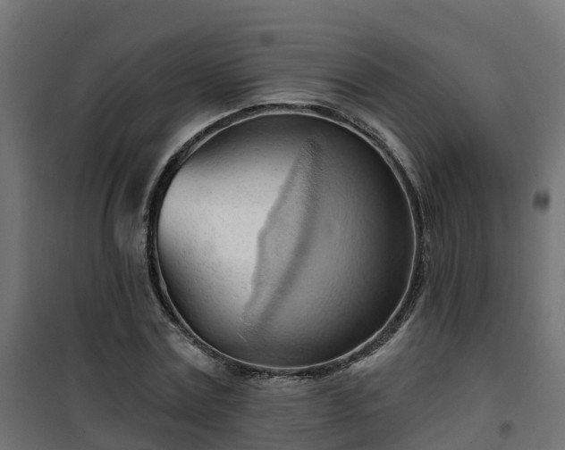 X0000101210779200807071337