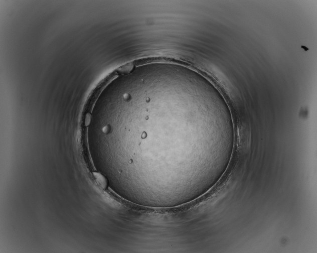 X0000101210780200807071337