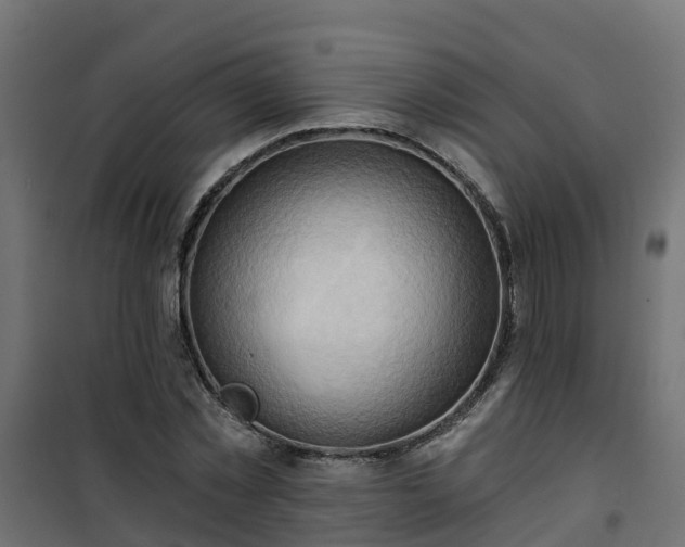 X0000101210781200807071337