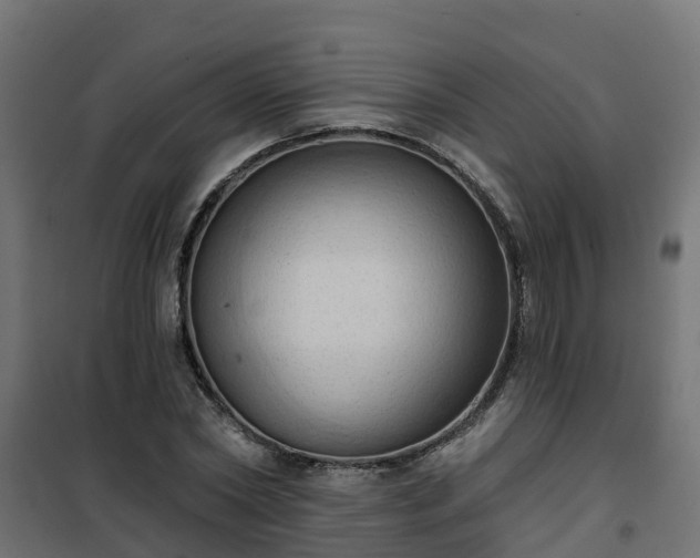 X0000101210782200807071337