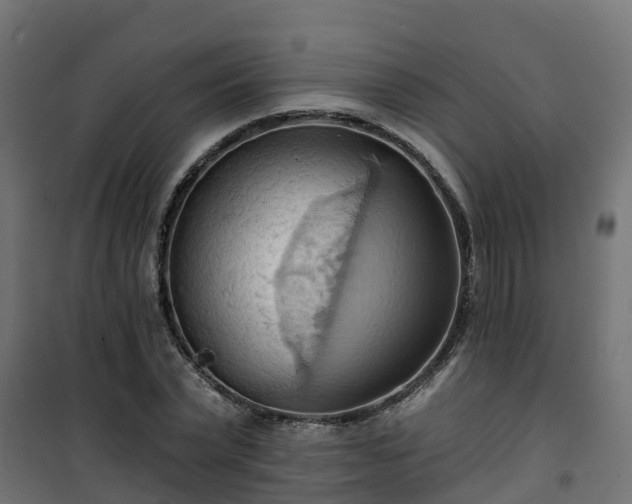 X0000101210783200807071337