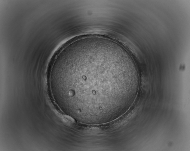 X0000101210784200807071337