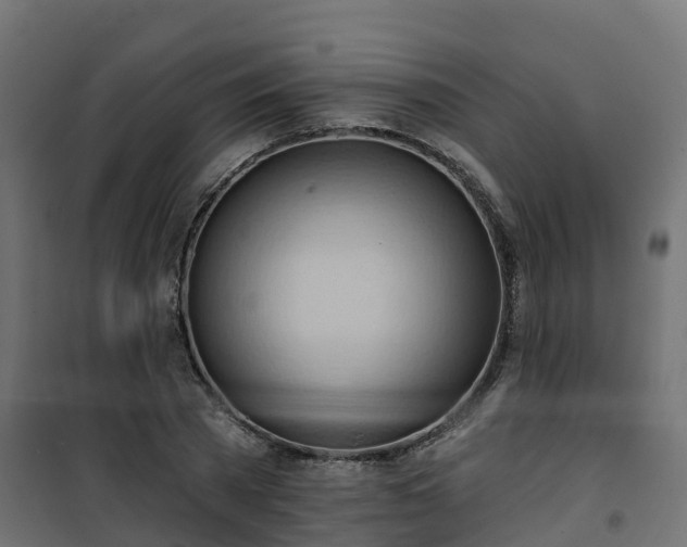 X0000101210785200807071337