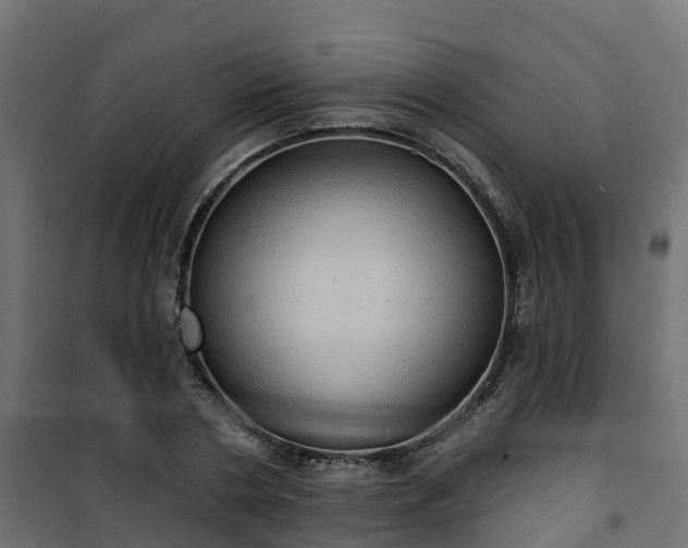 X0000101210786200807071337