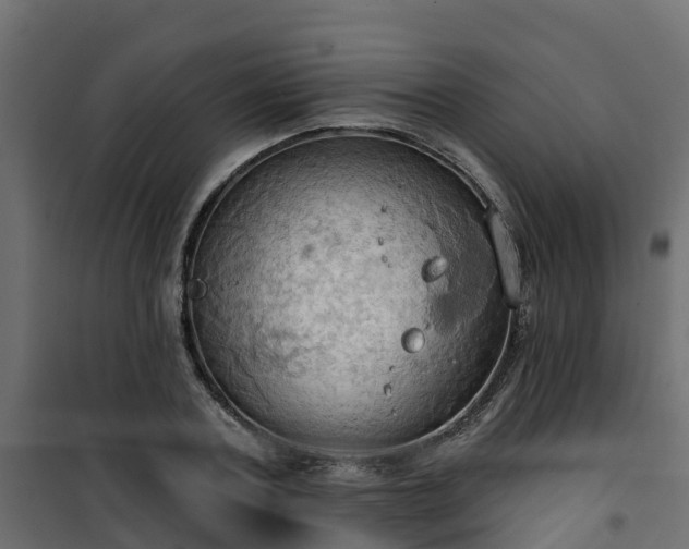 X0000101210787200807071337