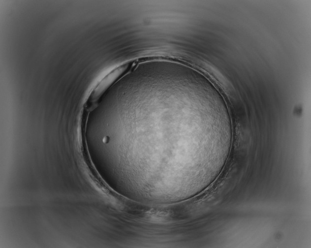 X0000101210788200807071337