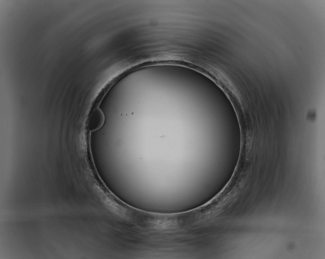 X0000101210789200807071337