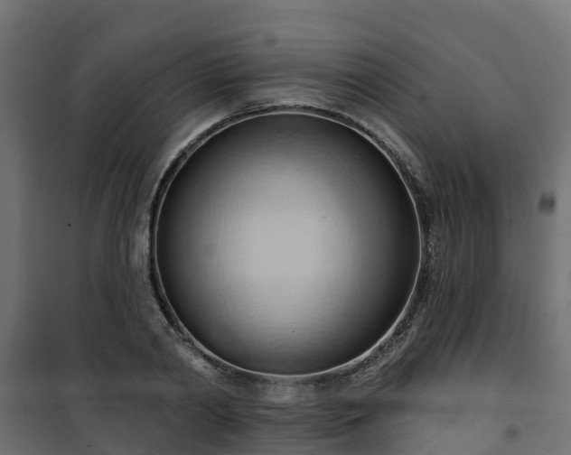 X0000101210790200807071337