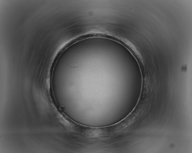 X0000101210791200807071337