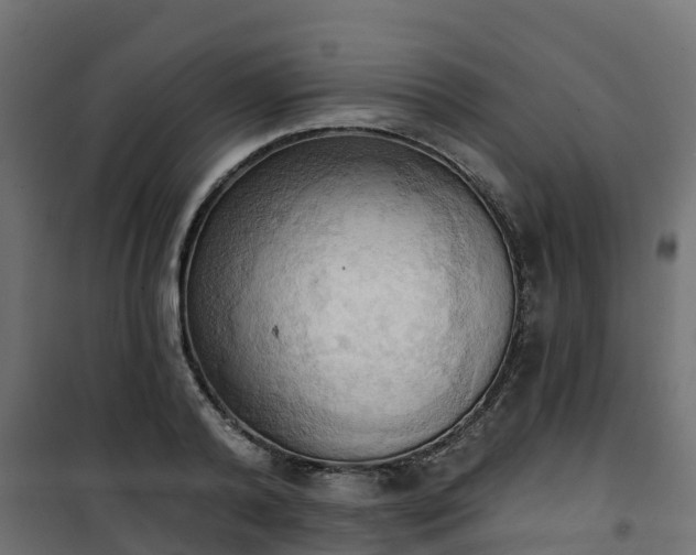 X0000101210792200807071337