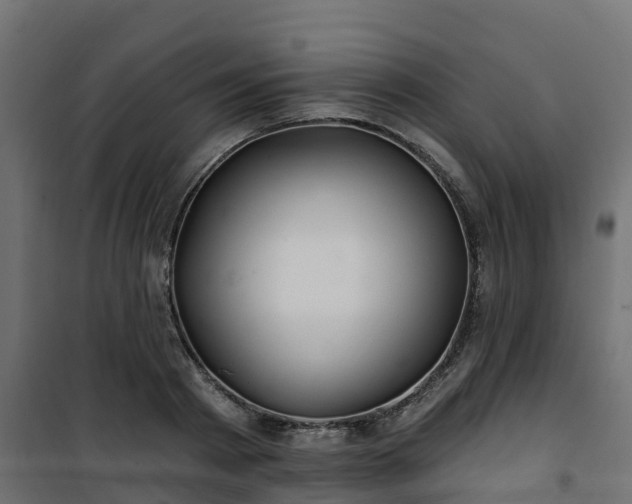 X0000101210793200807071337