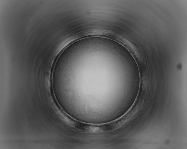 X0000101210794200807071337