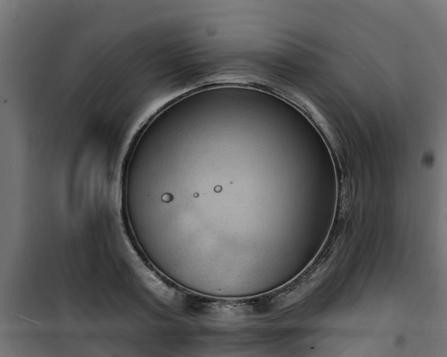 X0000101210795200807071337