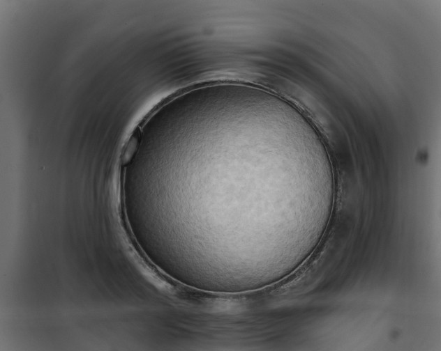 X0000101210796200807071337