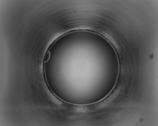 X0000101210797200807071337