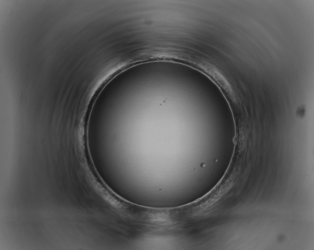 X0000101210798200807071337