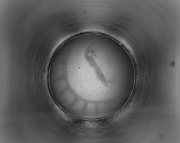 X0000101210799200807071337