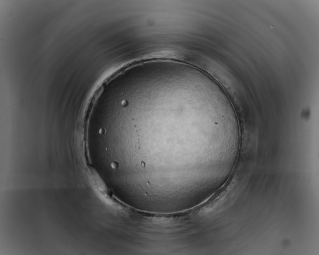 X0000101210800200807071337