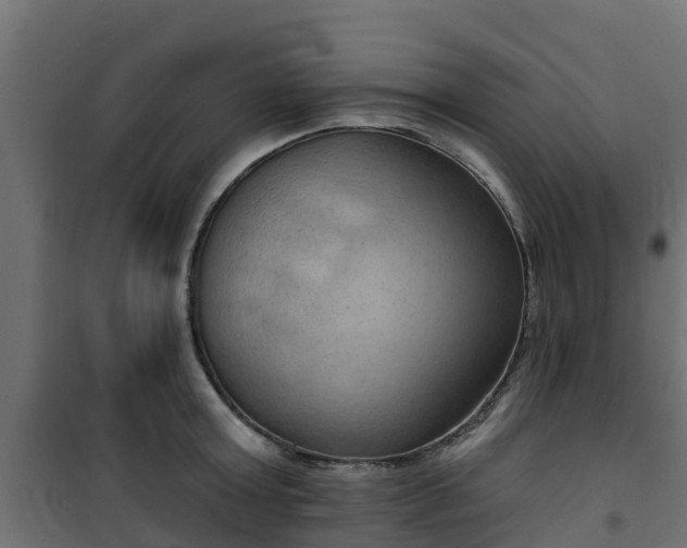 X0000101210803200807071337