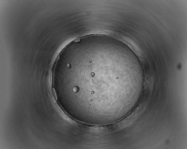 X0000101210804200807071337