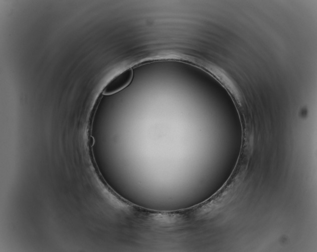 X0000101210805200807071337