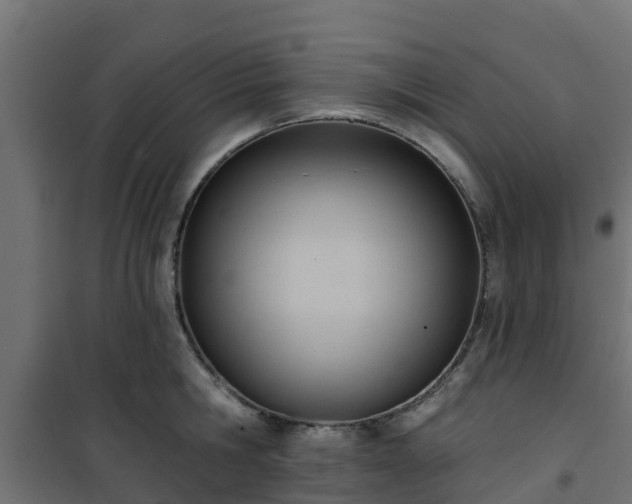 X0000101210806200807071337