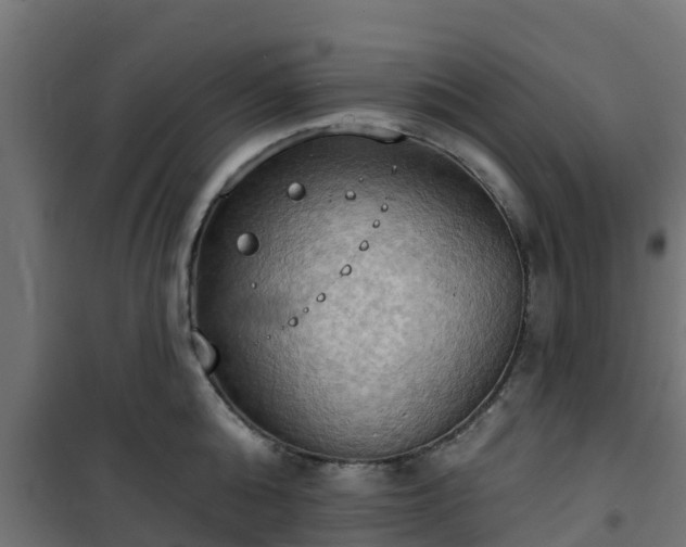 X0000101210808200807071337