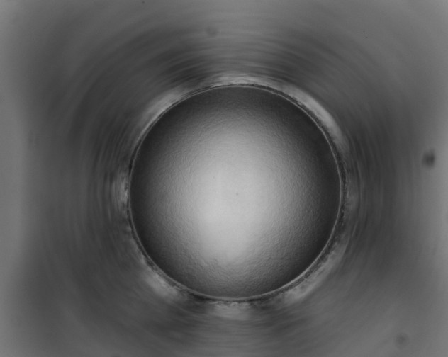 X0000101210809200807071337