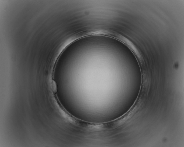 X0000101210810200807071337