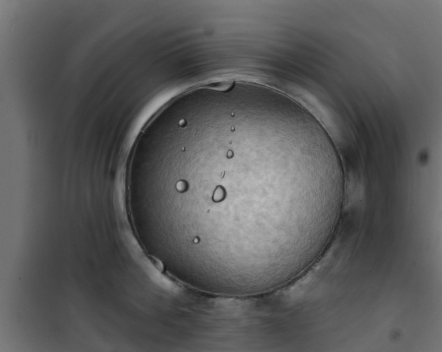 X0000101210812200807071337