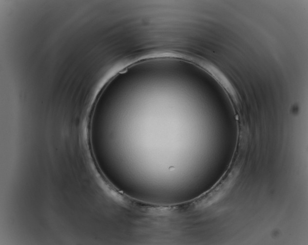 X0000101210813200807071337