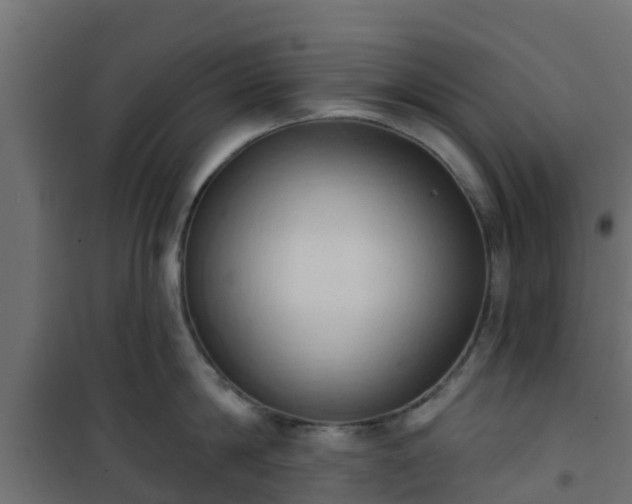 X0000101210814200807071337