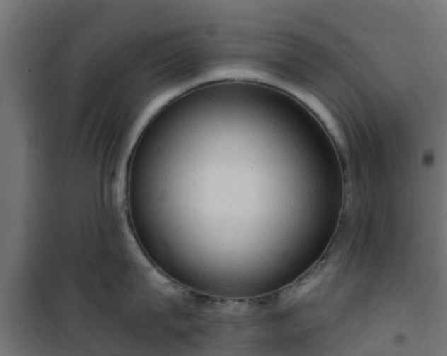 X0000101210815200807071337