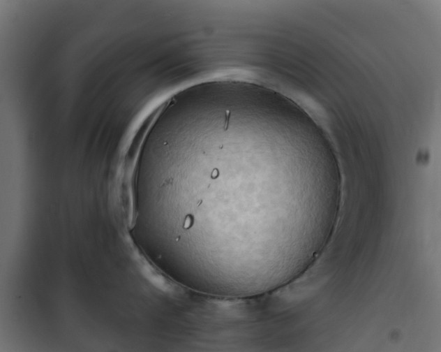 X0000101210816200807071337