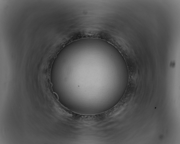 X0000101210817200807071336