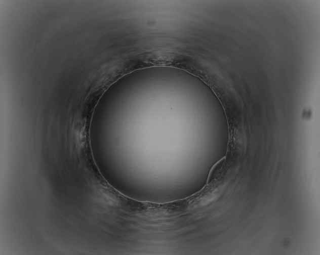 X0000101210818200807071336