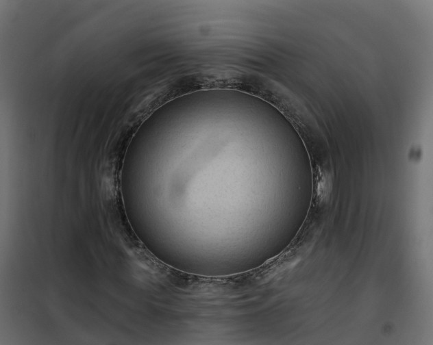 X0000101210819200807071336