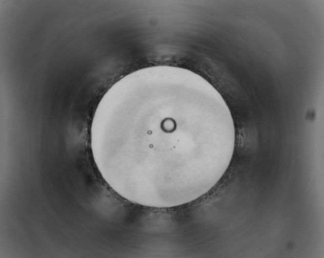 X0000101210820200807071336